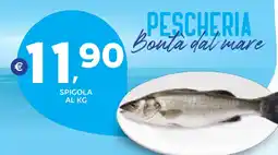 Extra Supermercati Spigola offerta