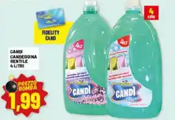 Risparmio Casa Candi candeggina gentile offerta
