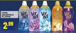 Risparmio Casa Vernel concentrato offerta