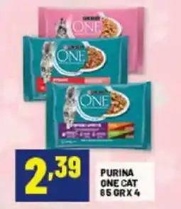 Risparmio Casa Purina One Cat offerta