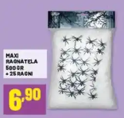 Risparmio Casa Maxi Ragnatela offerta