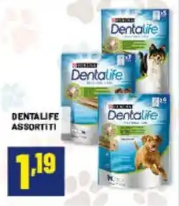 Risparmio Casa Dentalife assortiti offerta