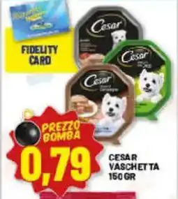 Risparmio Casa Cesar vaschetta offerta