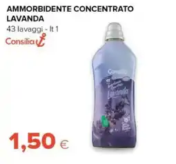 Oasi Ammorbidente concentrato lavanda Consilia offerta