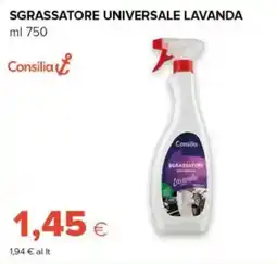 Oasi Sgrassatore universale lavanda Consilia offerta