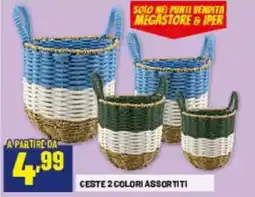 Risparmio Casa Ceste 2 colori assortiti offerta