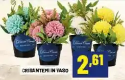 Risparmio Casa Crisantemi in vaso offerta