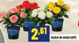 Risparmio Casa Rosa in vaso offerta