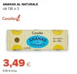 Oasi Ananas al naturale Consilia offerta