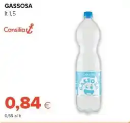 Oasi Gassosa Consilia offerta