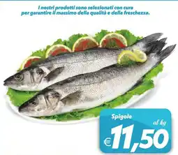 Iper Super Conveniente Spigole offerta