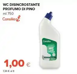 Oasi WC disincrostante profumo di pino Consilia offerta