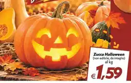 Iper Super Conveniente Zucca Halloween offerta