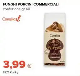 Oasi Funghi porcini commerciali Consilia offerta