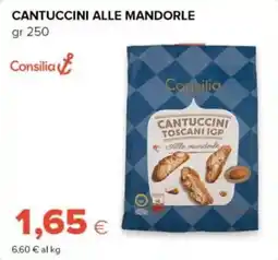 Oasi Cantuccini alle mandorle Consilia offerta