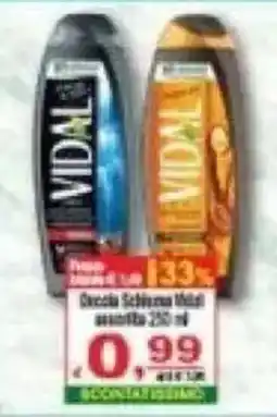 CTS Supermercati Doccia Schiuma Vidal offerta