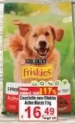 CTS Supermercati Friskies Crocchette cane Pollo offerta