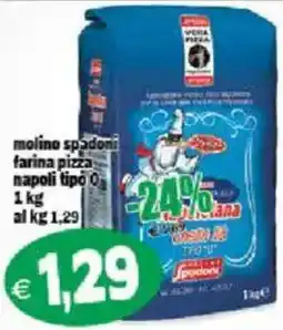 Il Castoro Supermercati molino spadoni farina pizza napoli tipo 0 offerta