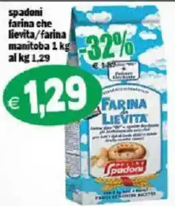 Il Castoro Supermercati Farina Lievita Spadoni offerta