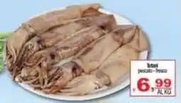 CTS Supermercati Totani pescato - fresco offerta