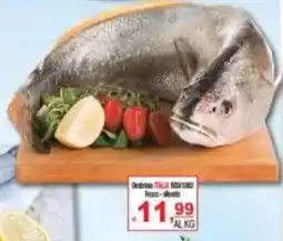 CTS Supermercati Dentrice ITALIA SORTEO offerta