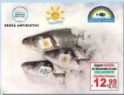 CTS Supermercati Spigole Nazionali offerta