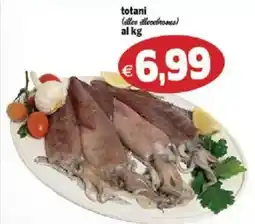 Il Castoro Supermercati totani offerta