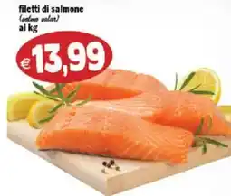 Il Castoro Supermercati filetti di salmone offerta