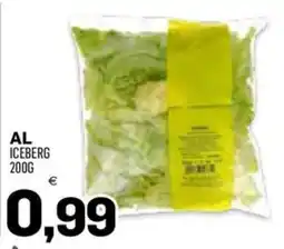 Al Discount AL Iceberg offerta