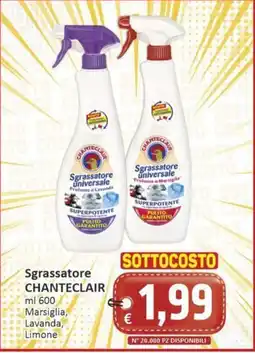Paghi Poco Sgrassatore CHANTECLAIR offerta
