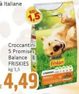 Paghi Poco Croccantini 5 Promises Balance Friskies offerta