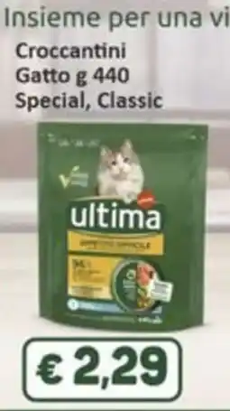 Paghi Poco Crocchettini Gatto ultima Special, Classic offerta