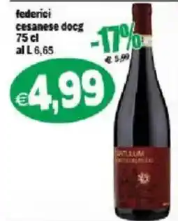 Il Castoro Supermercati federici cesanese docg offerta