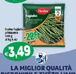 Il Castoro Supermercati Findus Fagiolini Primavera offerta