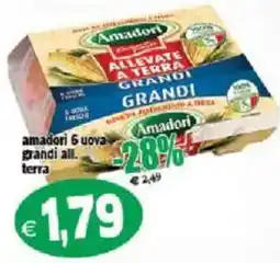 Il Castoro Supermercati Amadori uova grandi all. terra offerta