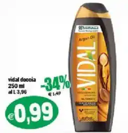 Il Castoro Supermercati vidal doccia offerta