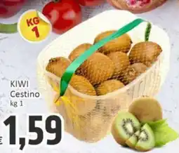 Paghi Poco Kiwi Cestino offerta