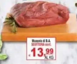 CTS Supermercati Muscolo di B.A. SCOTTONA offerta