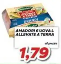 MA Supermercati Amadori 6 uova l allevate a terra offerta