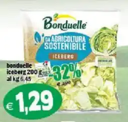 Il Castoro Supermercati Bonduelle iceberg offerta