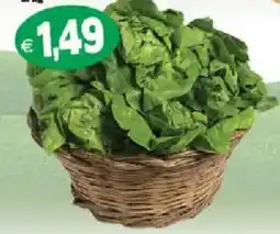 Il Castoro Supermercati Spinaci offerta
