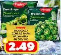 MercADone Findus Broccoli/Cime di Rapa Primavera offerta