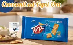 Moderna Galbusera Crackers offerta