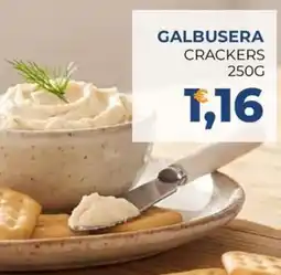 Moderna Galbusera crackers offerta
