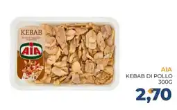 Moderna AIA kebab di pollo offerta