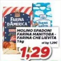 MA Supermercati Farina Manitoba - Farina che lievita offerta