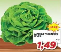 MA Supermercati Lattuga Trocadero sfuso offerta