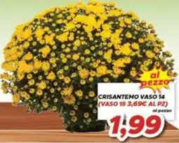 MA Supermercati Crisantemo vaso 14 offerta
