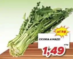 MA Supermercati Cicoria a mazzi offerta
