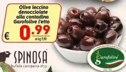 Ipercarni Olive leccino denocciolate alla contadina Garofolive offerta